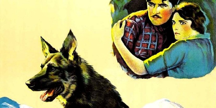 1734013199-wb-rin-tin-tin.jpg