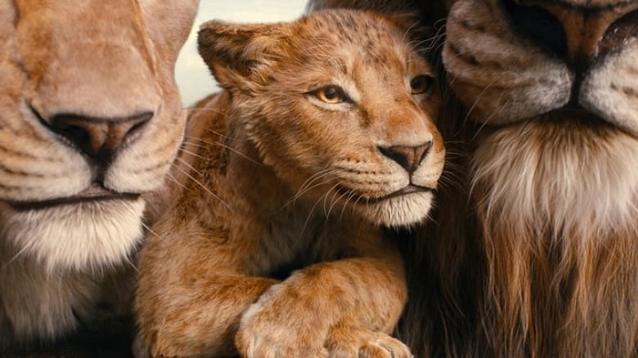 1735006729-mufasa-thelionk-3.jpg