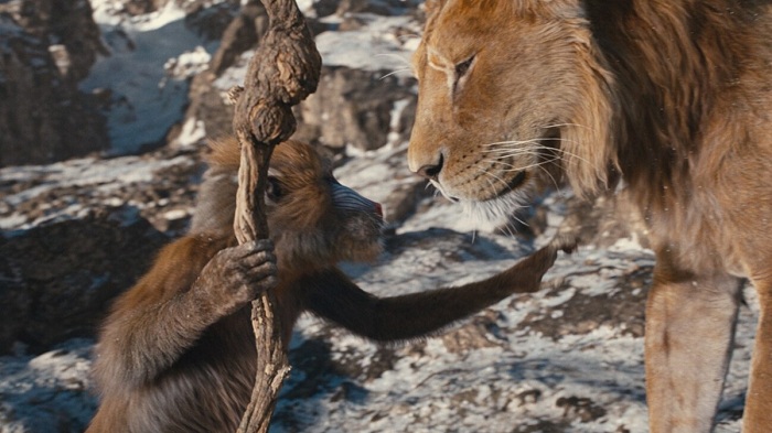 1735006735-mufasa-thelionk-5.jpg