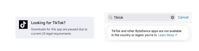 1737446001-tiktok-theverge.jpg