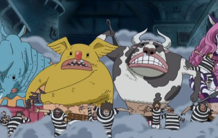 One Piece giải đáp một bí ẩn lớn về trái ác quỷ sau 17 năm