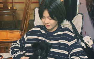 Bắc Thượng nhận điểm số ấn tượng, netizen khen nức nở: Không nỡ chấm dưới 5 sao, xem xúc động tới chảy nước mắt